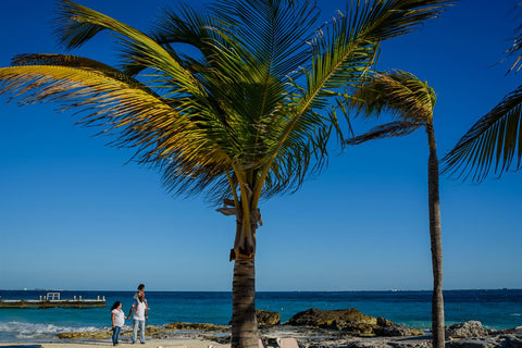 Playa Del Carmen