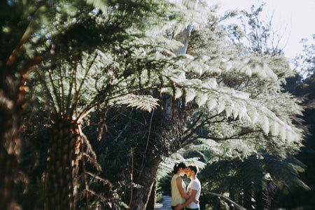Blue Mountains