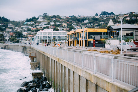 Dunedin