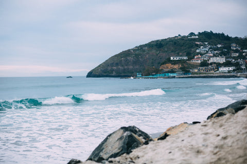 Dunedin